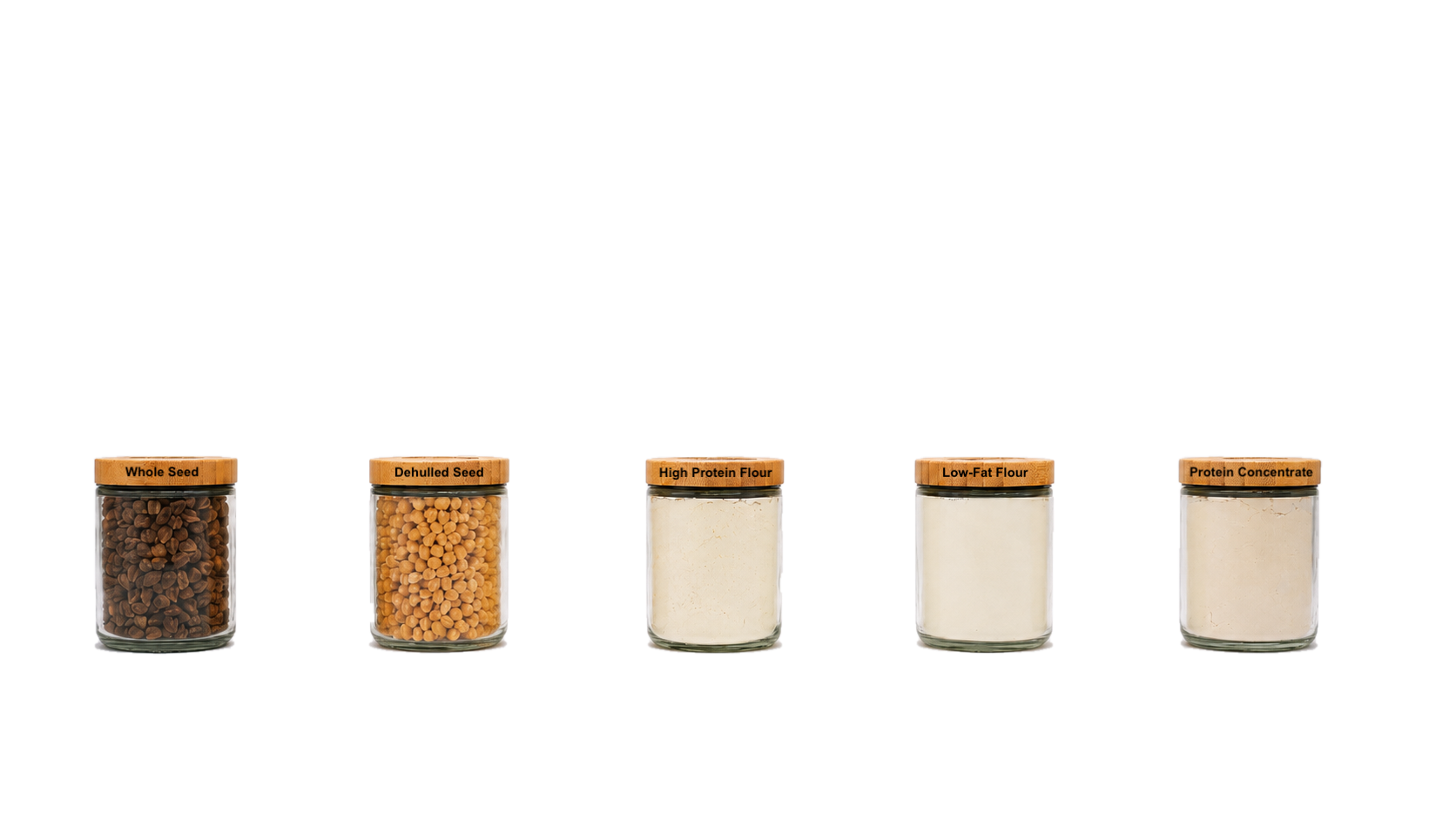 NuChi by NuCicer Products - high protein, low fat chickpea seeds, flour and protein concentrate