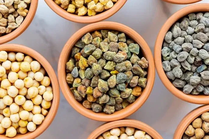 Diverse chickpea seed varieties