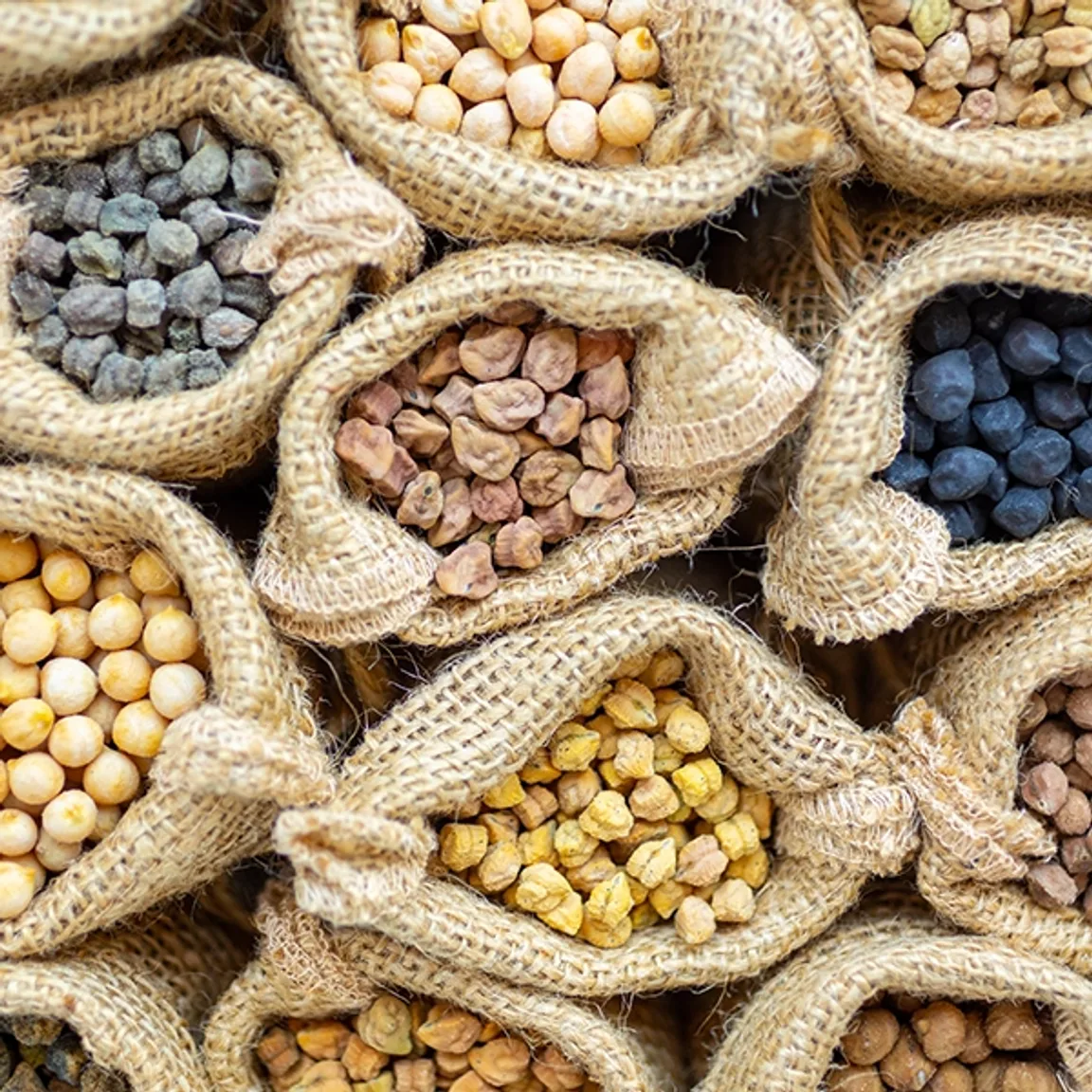 Healthy soil is the foundation of a healthy food system