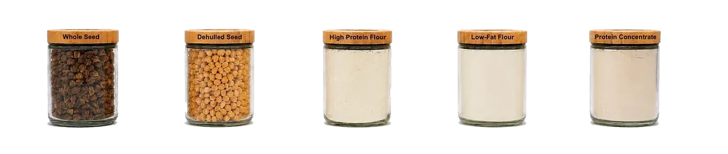Whole seed, dehulled seed, high protein flour, low-fat flour and protein concentrate in jars