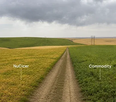 NuCicer crop versus commodity field comparison