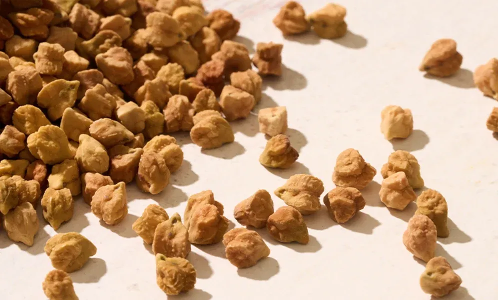 Nutrient-dense NuCicer chickpeas